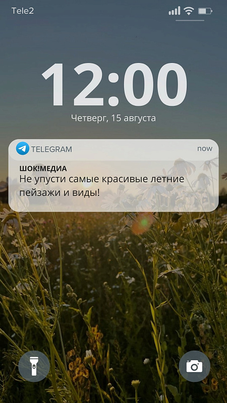 1 новое уведомление!